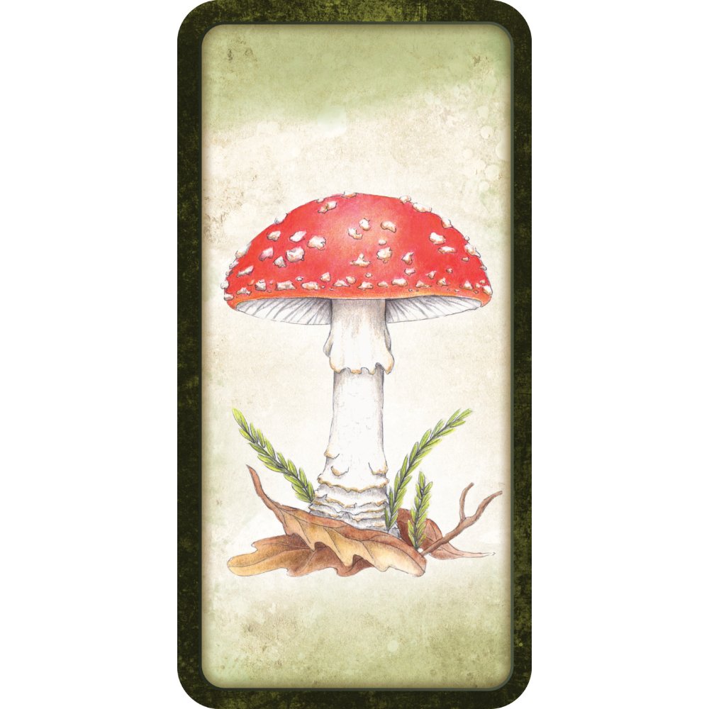 Mushroom Affirmations Cards