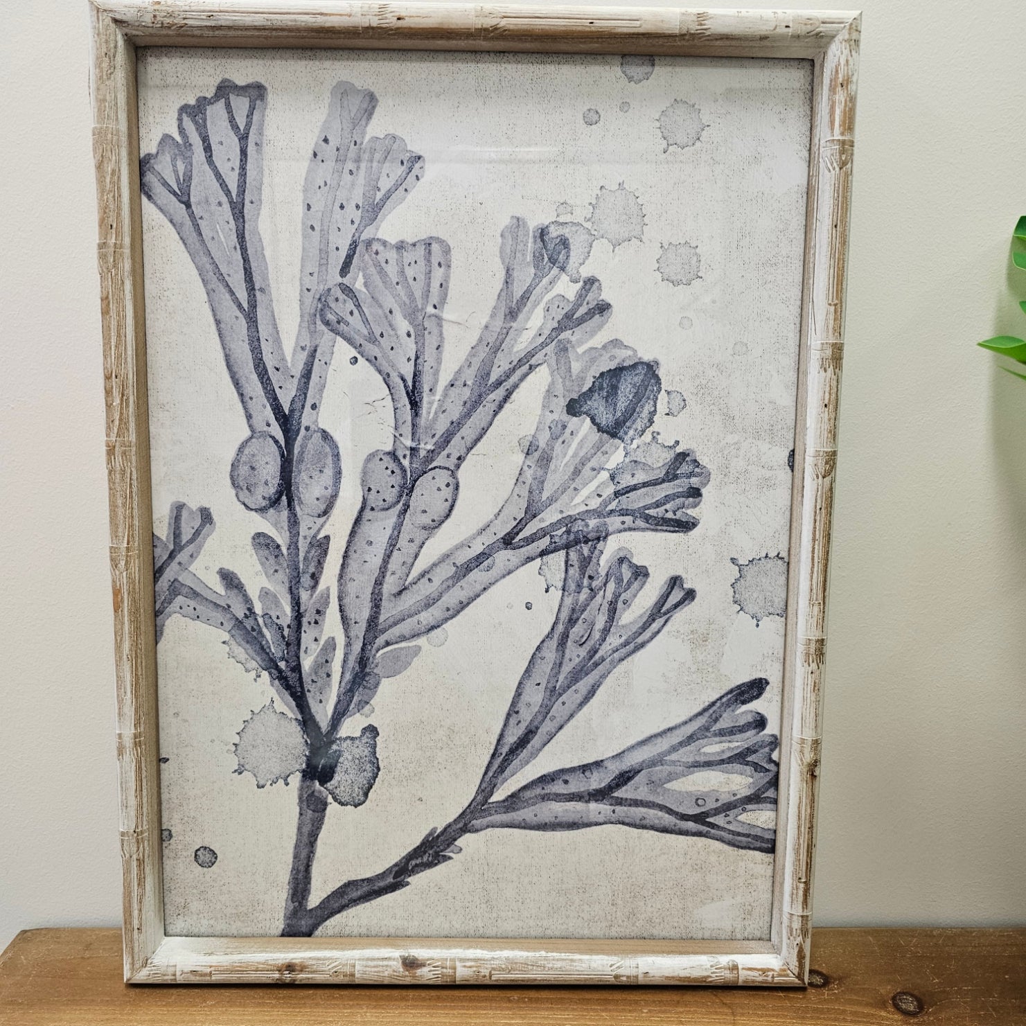 Mackay Frame Glass Print