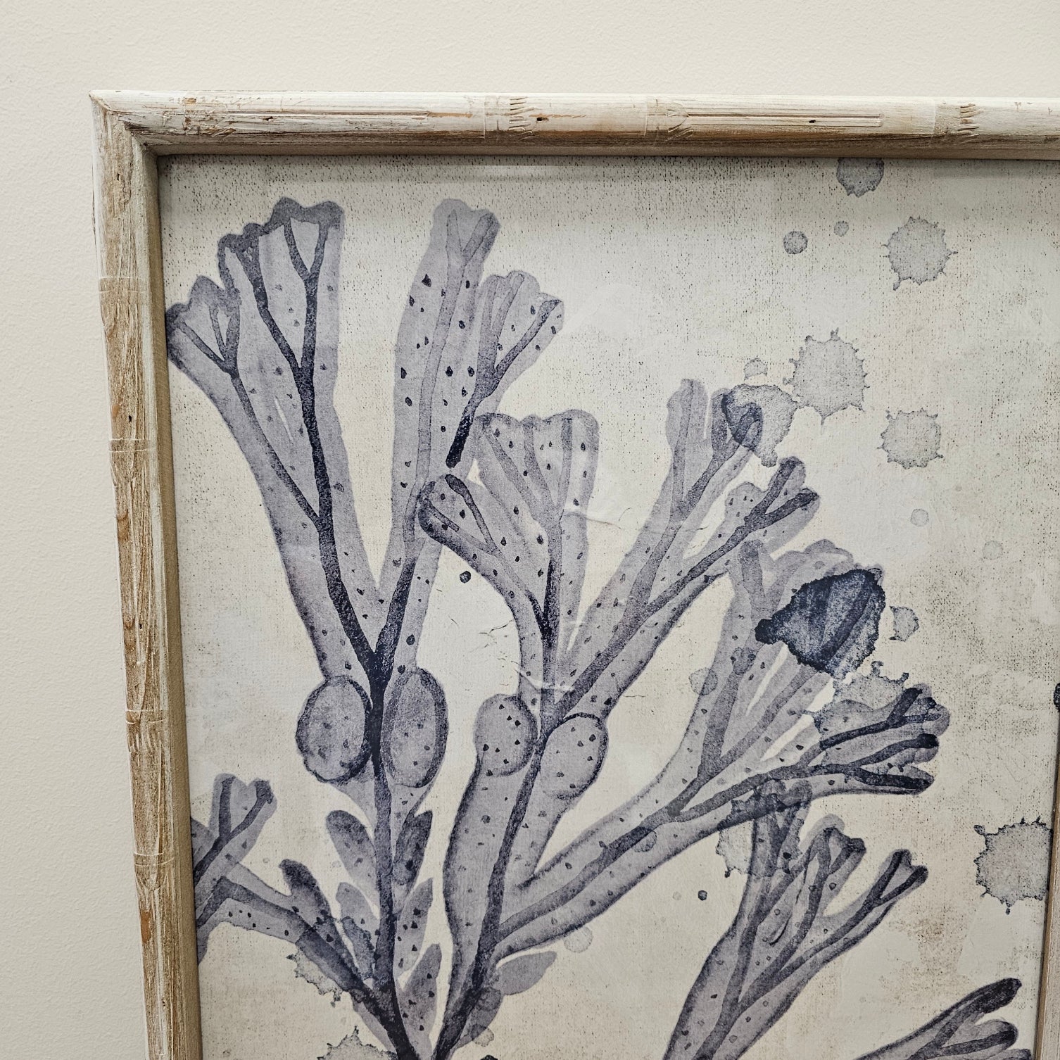 Mackay Frame Glass Print