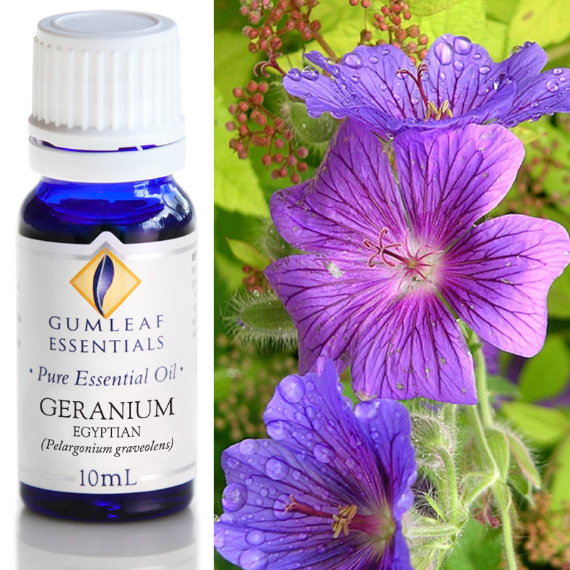 Organic Pure Essential Oil - Geranium
