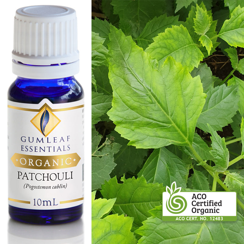 Organic Pure Essential Oil - Patchoulli