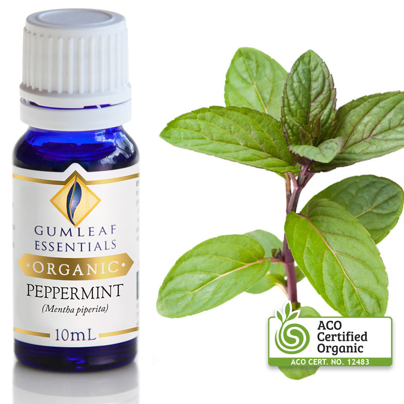 Organic Pure Essential Oil - Peppermint