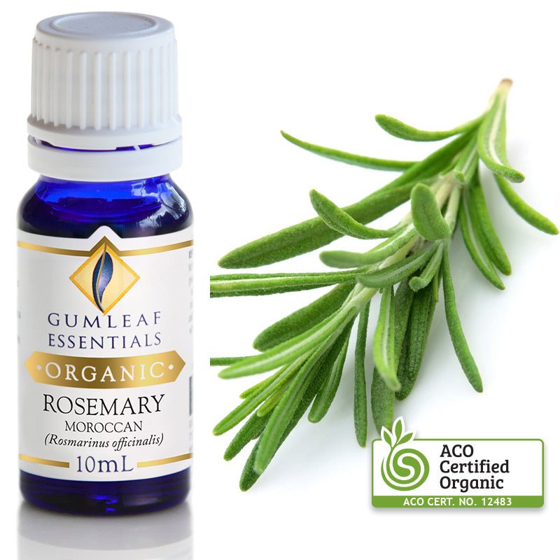 Organic Pure Essential Oil - Rosemary