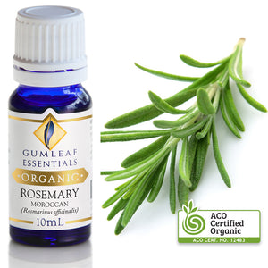 Organic Pure Essential Oil - Rosemary