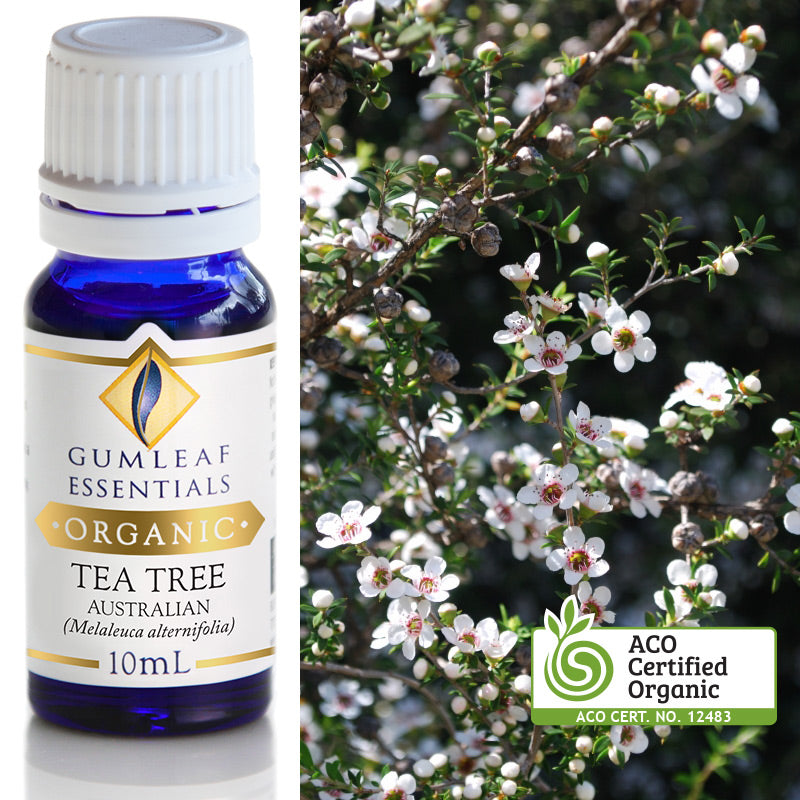 Organic Pure Essential Oil - Tea Tree