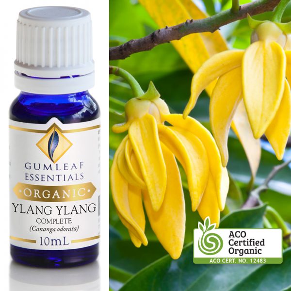 Organic Pure Essential Oil - Ylang Ylang