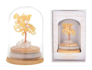 Eqlb Tree Of Happiness & Success
