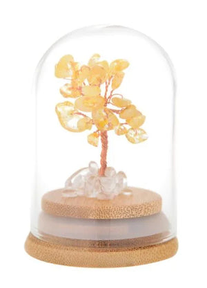 Eqlb Tree Of Happiness & Success