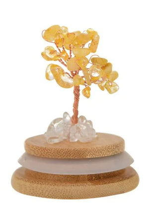 Eqlb Tree Of Happiness & Success
