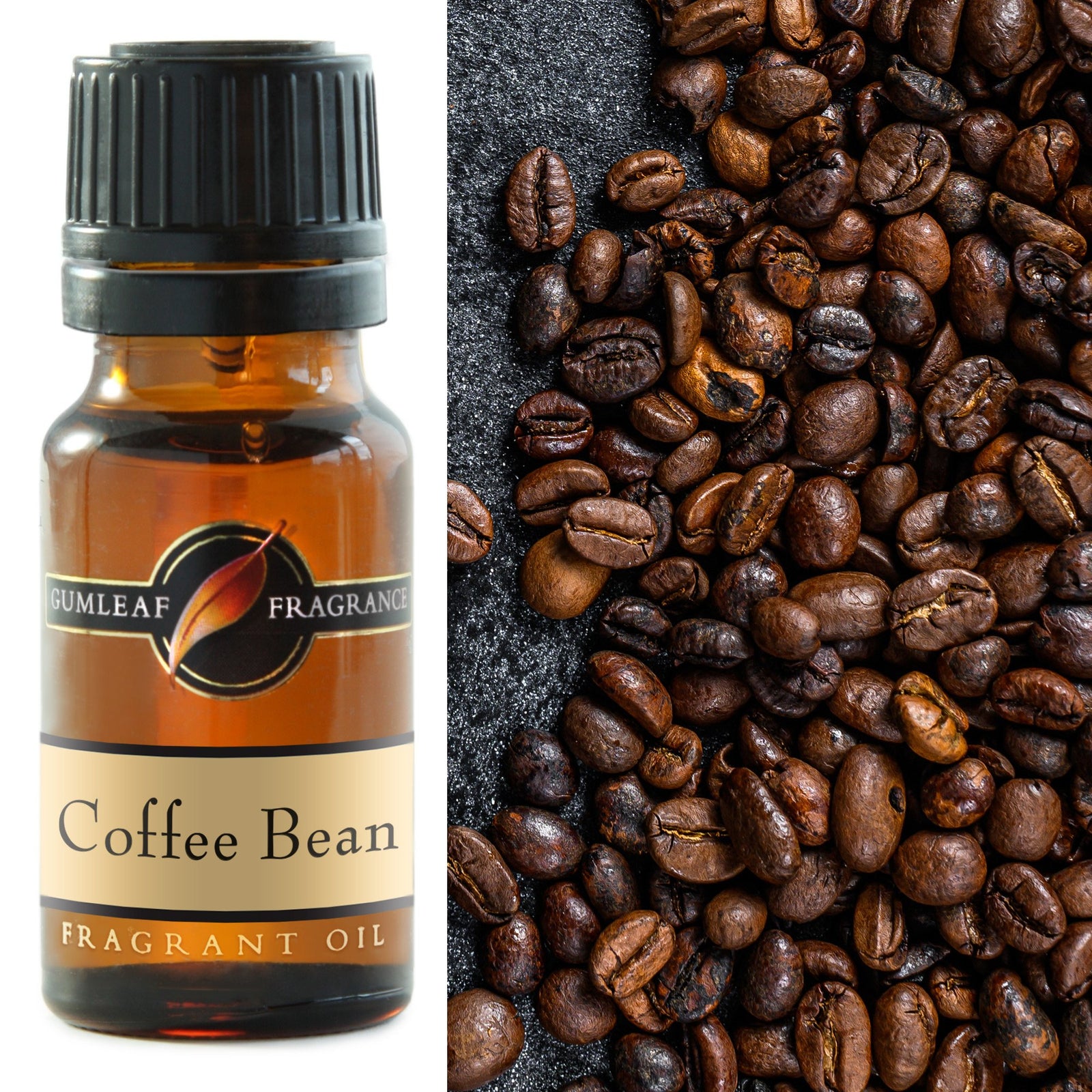 GUMLEAF FRAGRANT OIL 10ML-COFFEE BEAN