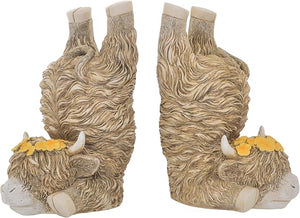 HighLand Cow Bookends