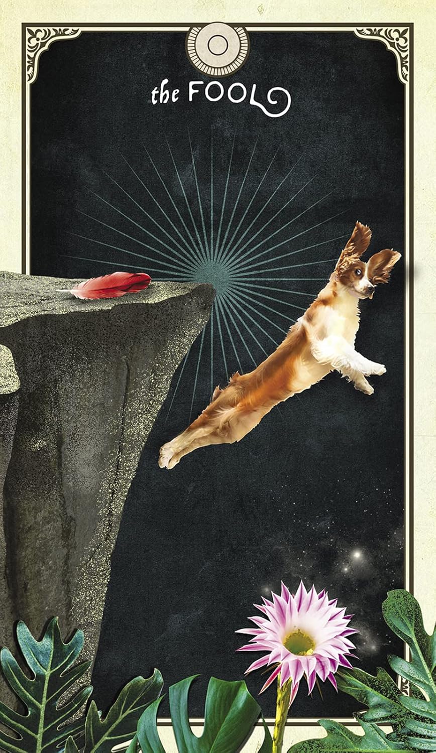 THE TAROT OF CURIOUS CREATURES