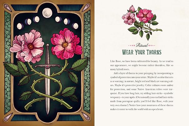 Wild Wisdom Tattoo Stickers With 10 Ritual Cards