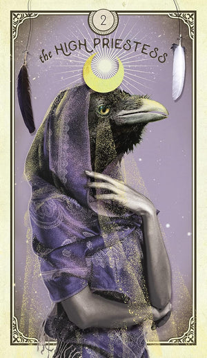 THE TAROT OF CURIOUS CREATURES