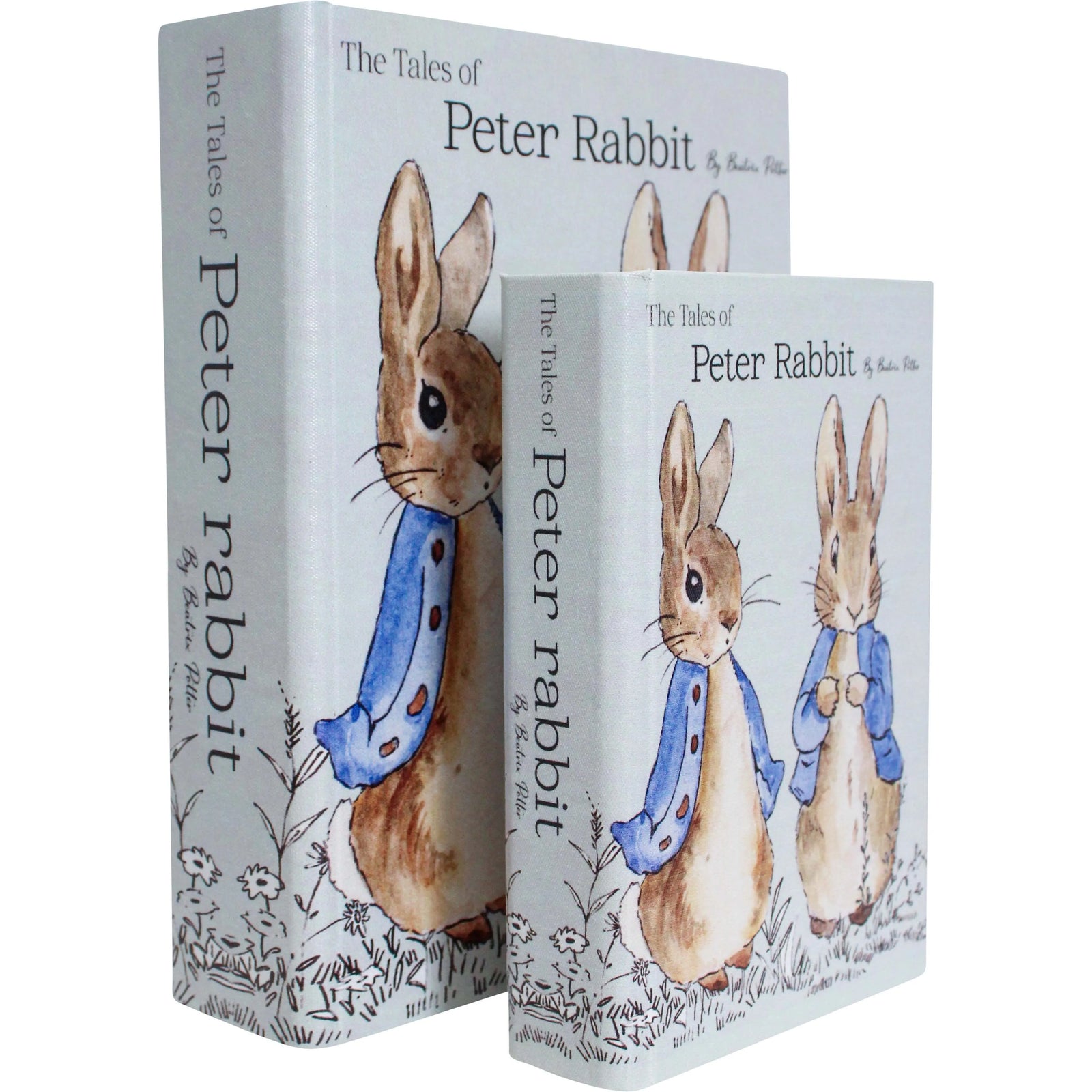 BOOK BOX - PETER RABBIT