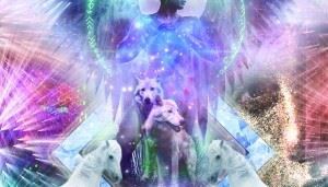 SACRED LIGHT ORACLE