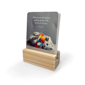 Boxed Affirmation Cards Kitten Tales