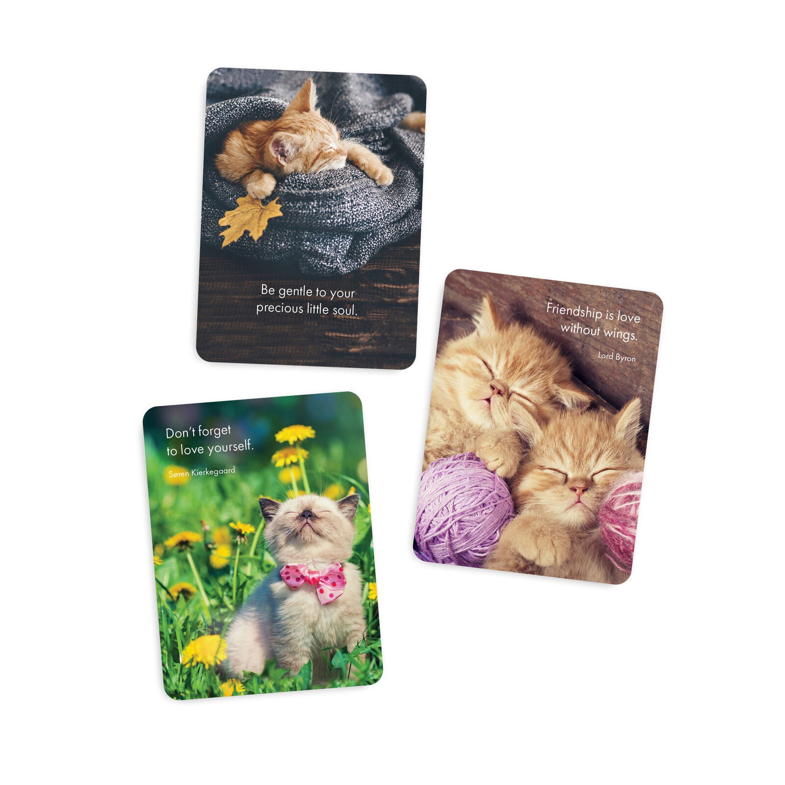 Boxed Affirmation Cards Kitten Tales