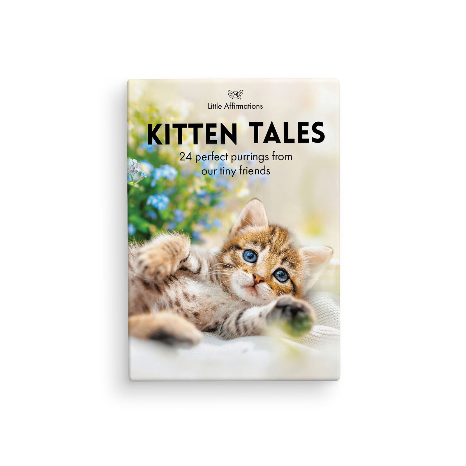 Boxed Affirmation Cards Kitten Tales