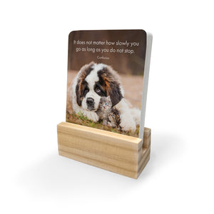 Boxed Affirmation Cards Little Paws