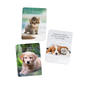 Boxed Affirmation Cards Little Paws