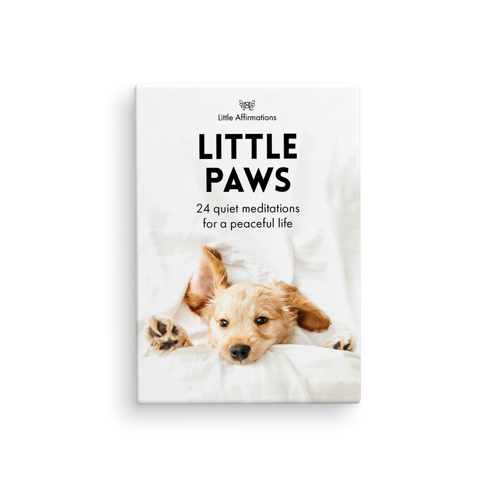 Boxed Affirmation Cards Little Paws