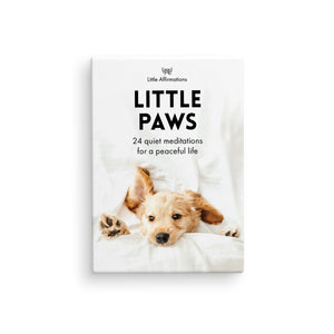 Boxed Affirmation Cards Little Paws