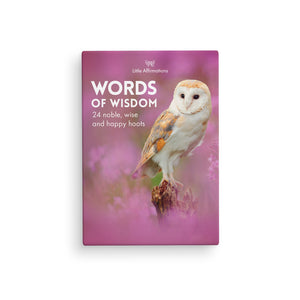 Boxed Affirmation Cards Words Of Wisdom