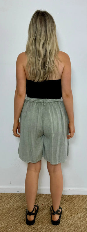 Astral Stonewash Shorts