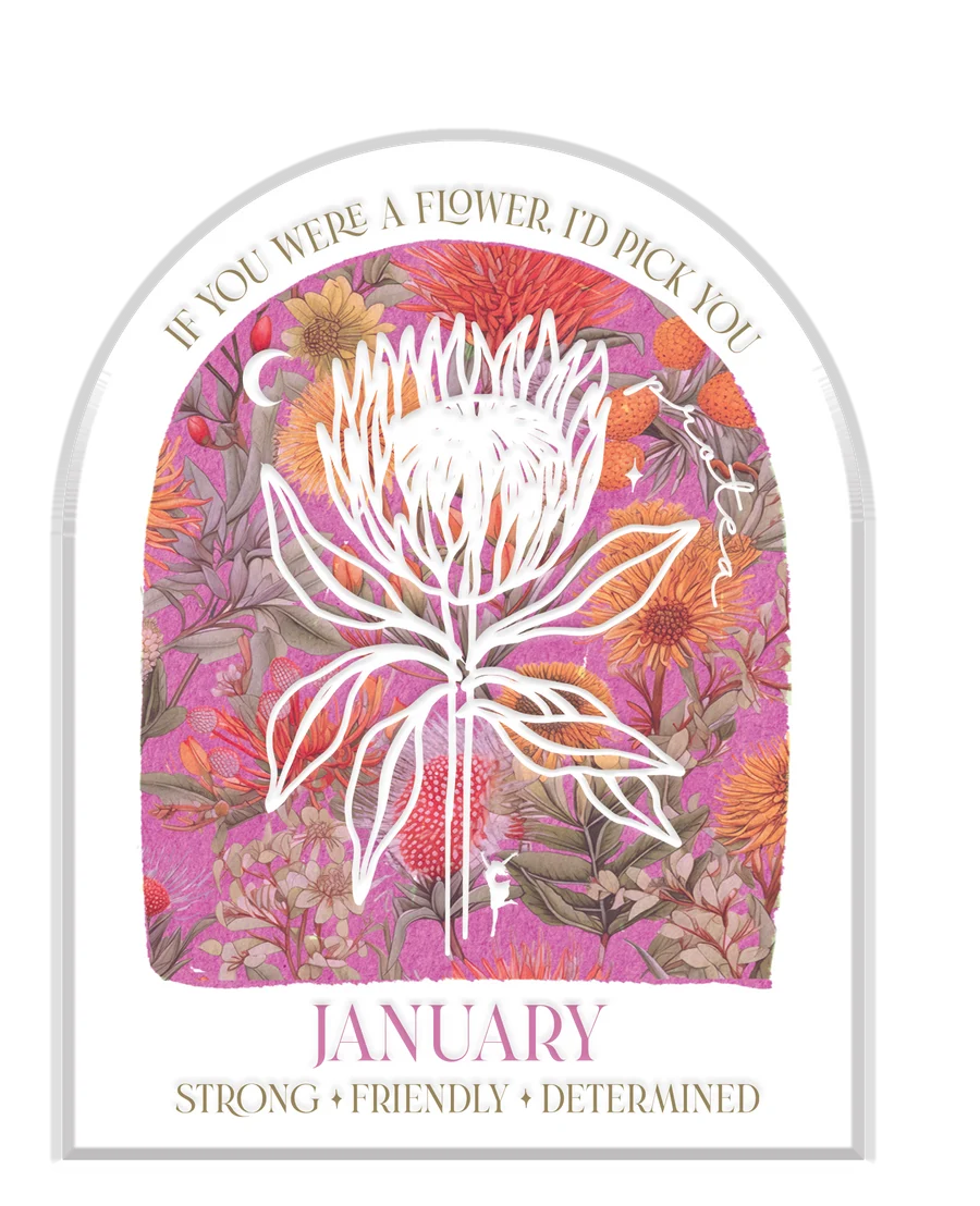 Native Flower Birth Month Plaques