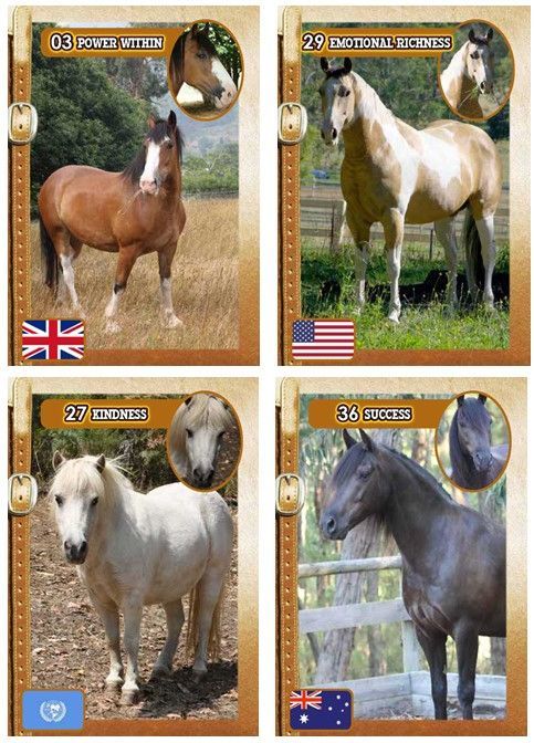 Horse Affirmation Cards Wild & Free
