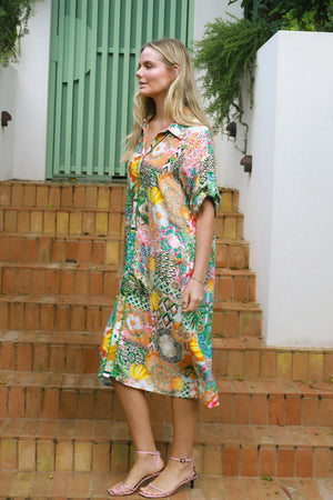 Amira Print Midi Shirt Dress