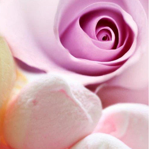 SPIRITUAL SKY FRAGRANCE OIL - 8.5ML MUSK ROSE