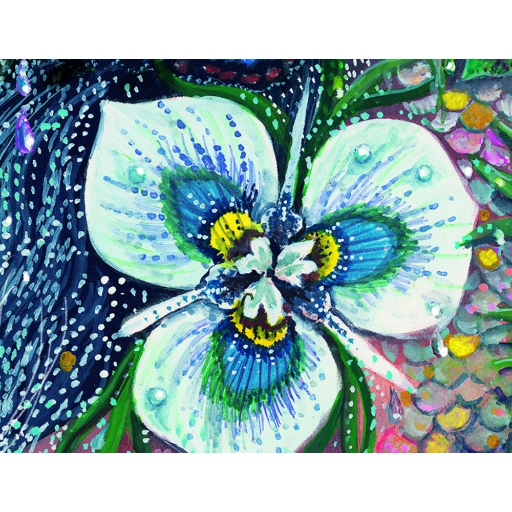 Water Blessings Affirmation Cards