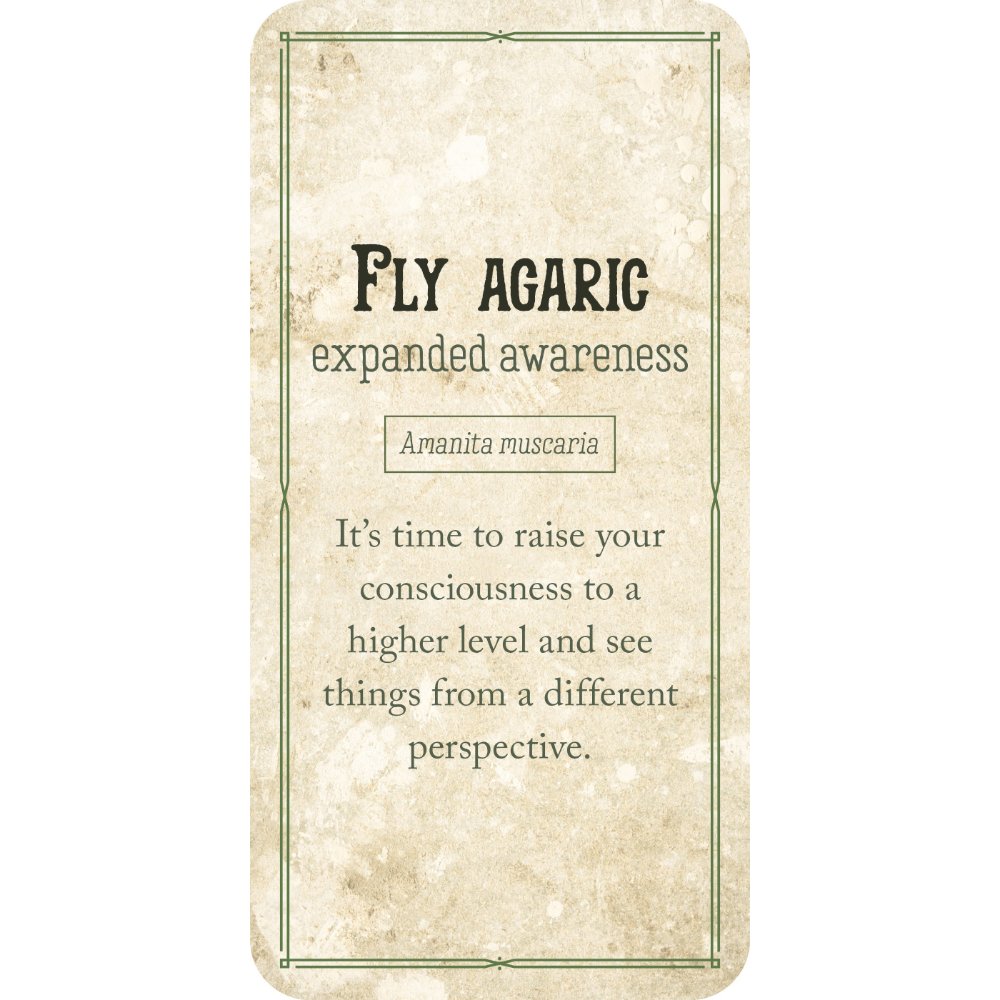 Mushroom Affirmations Cards