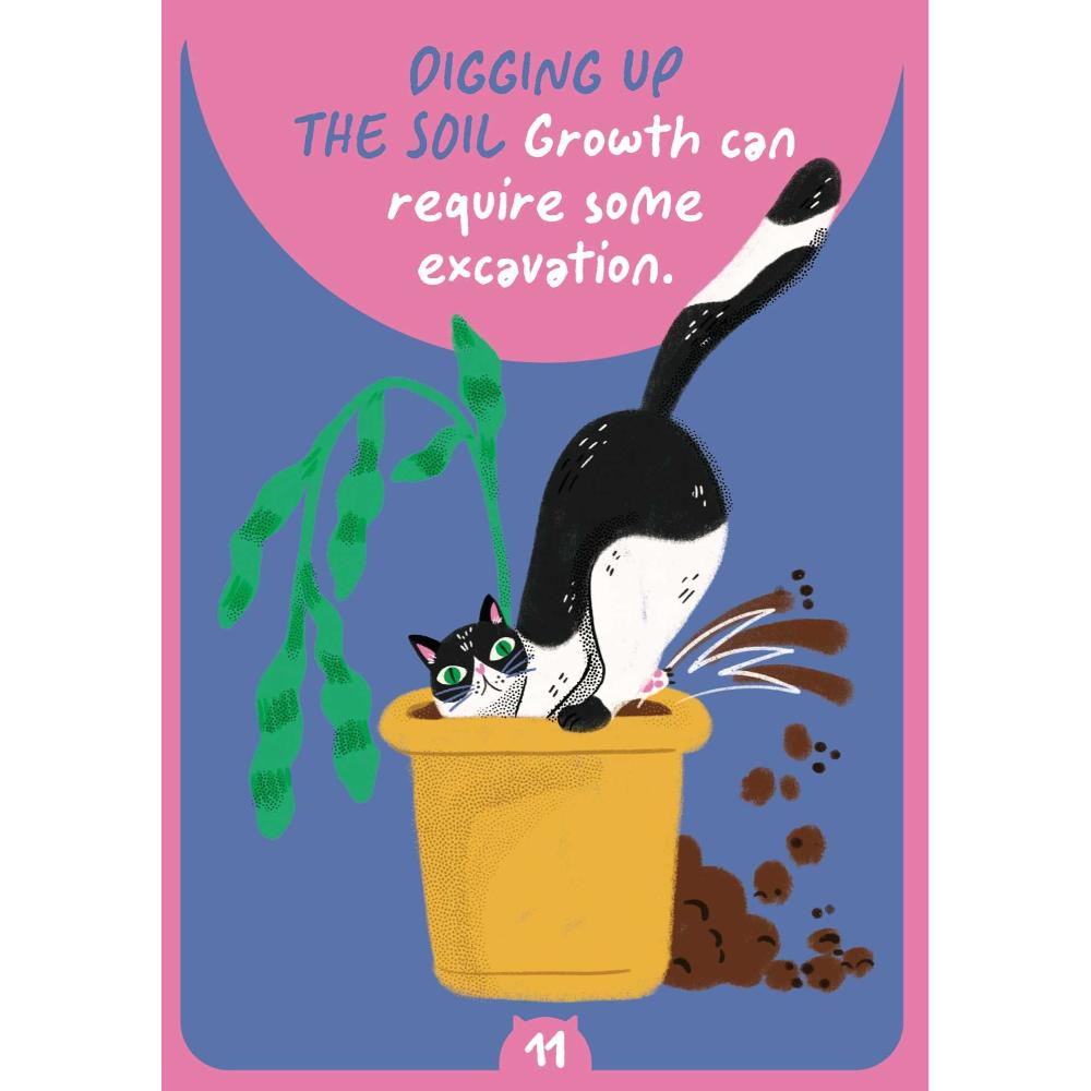 Cat Wisdom Oracle Cards