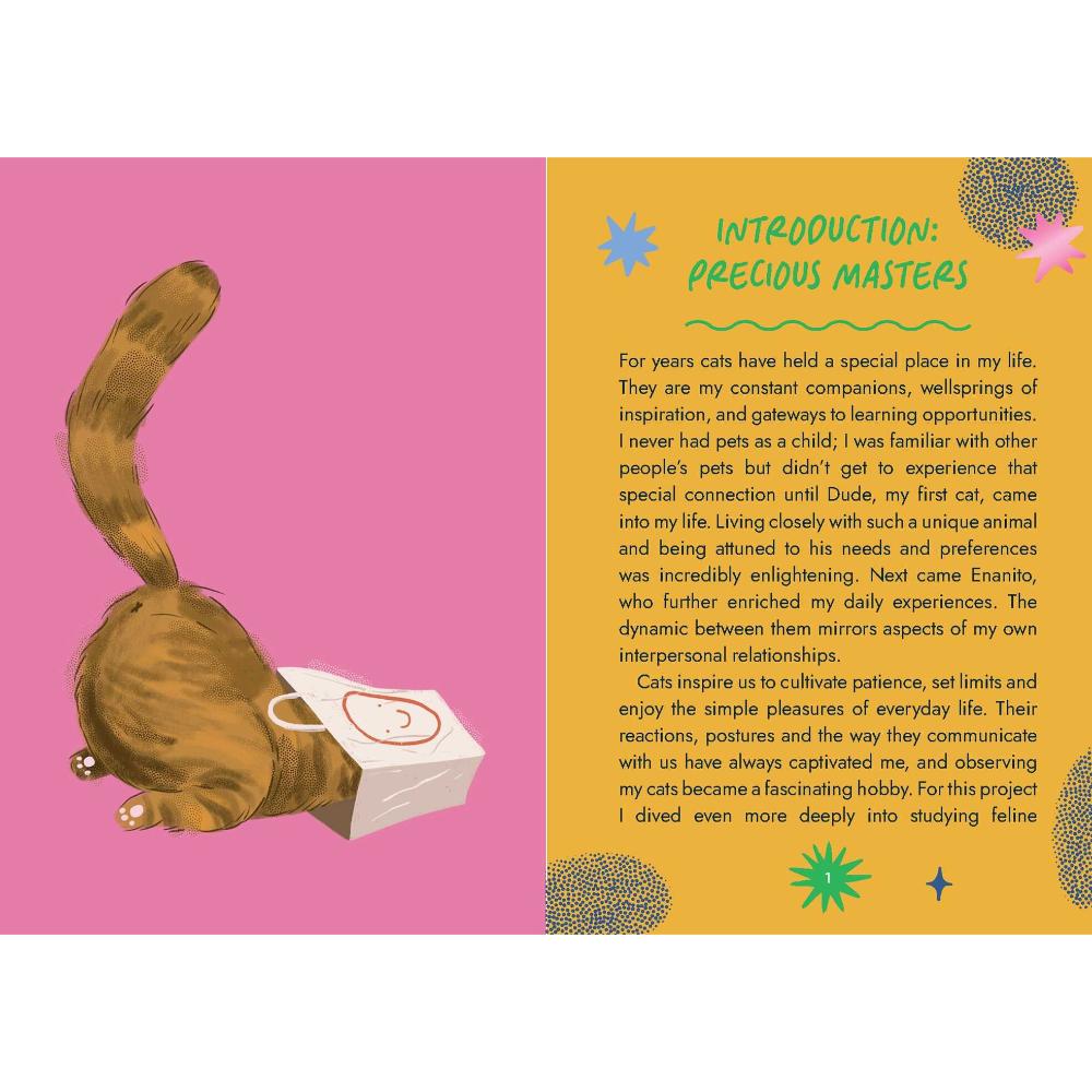 Cat Wisdom Oracle Cards