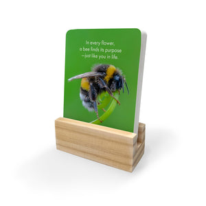 BOXED AFFIRMATION CARDS - BELIEVE IN YOURSELF