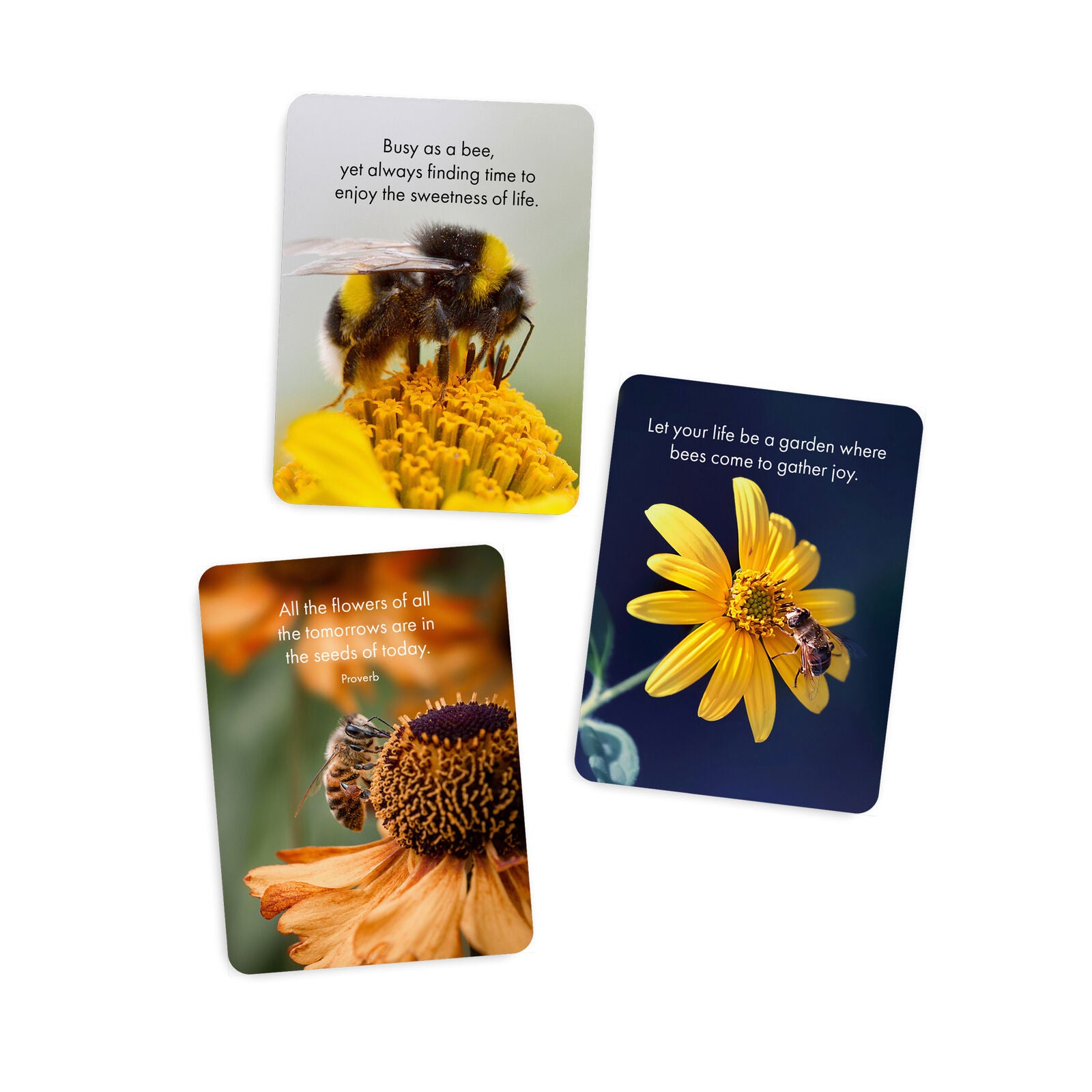 BOXED AFFIRMATION CARDS - BELIEVE IN YOURSELF