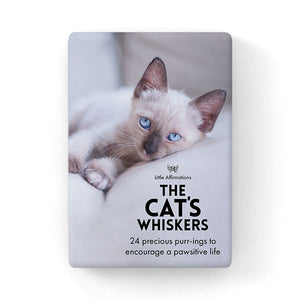 BOXED AFFIRMATION CARDS THE CATS WHISKERS