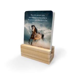 BOXED AFFIRMATION CARDS - HORSE POWER