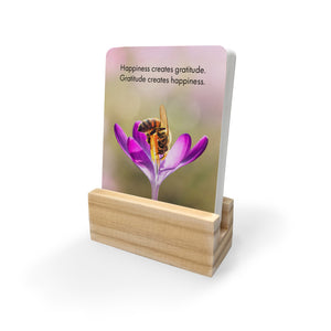 BOXED AFFIRMATION CARDS - JUST BEE