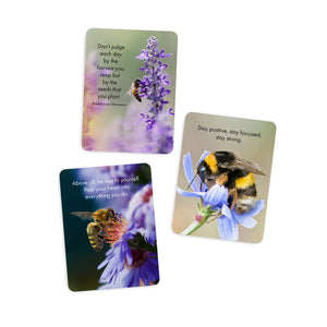 BOXED AFFIRMATION CARDS - JUST BEE