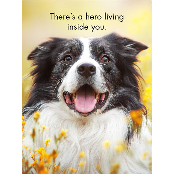 BOXED AFFIRMATION CARDS YOURE ONE OF A KIND