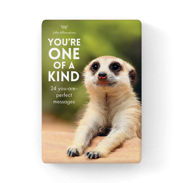 BOXED AFFIRMATION CARDS YOURE ONE OF A KIND