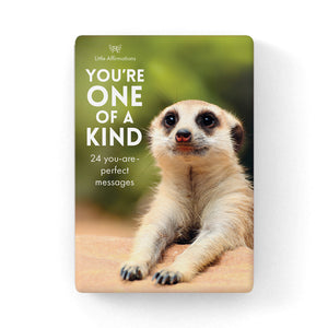 BOXED AFFIRMATION CARDS YOURE ONE OF A KIND