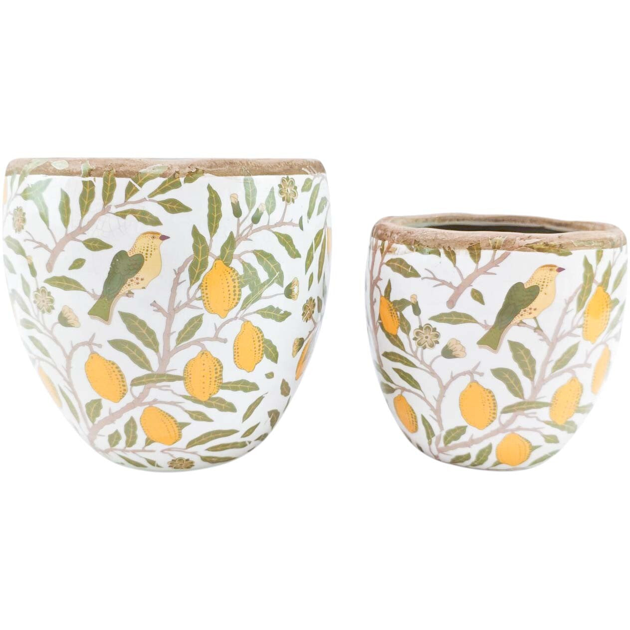 VINTAGE PLANTER LEMON