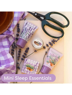 Heathcote & Ivory English Lavender Mini Sleep Set