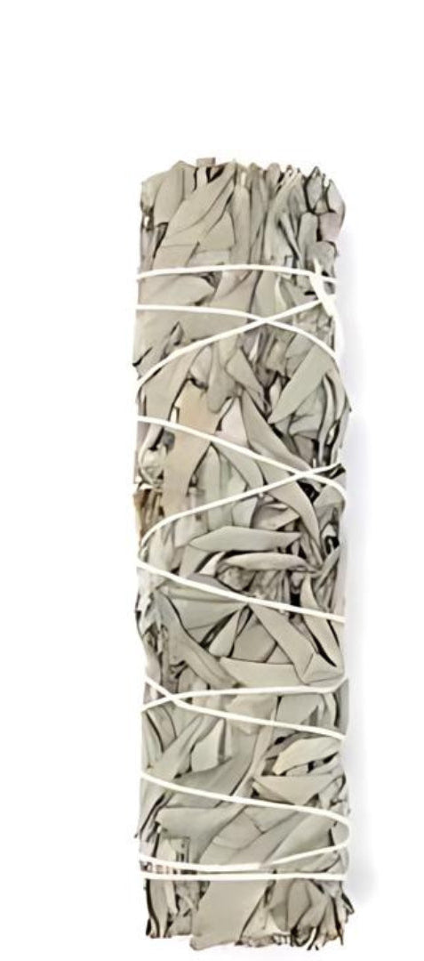 Smudge Stick White Sage Medium