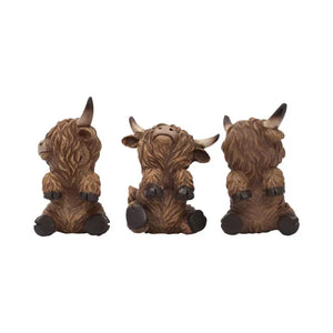 Saddle & Bloom Highland Cow Pot Hangers